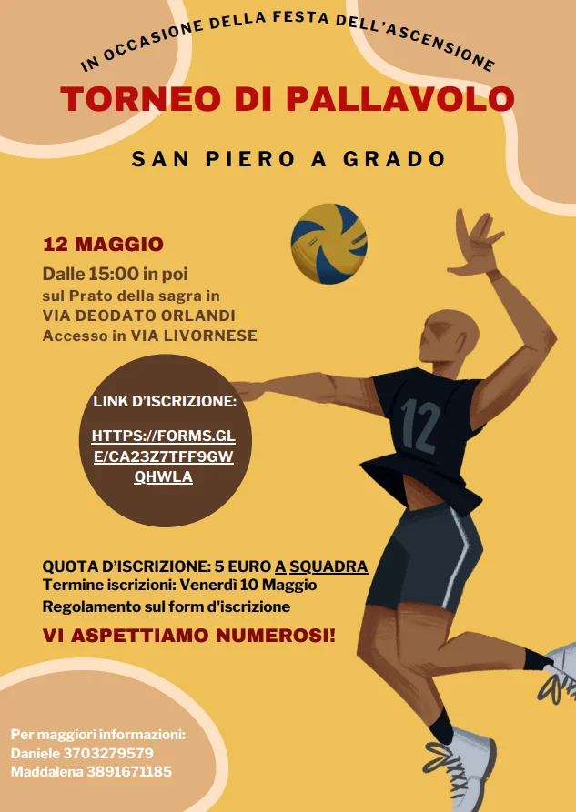 Locandina: Torneo di pallavolo